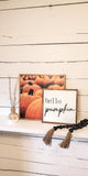 Fall Pumpkins Wood Sign