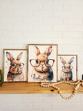 Easter Decor, Easter Bunny Decor, Easter Sign, Bunny With Glasses, Spring Decor, Farmhouse Decor, Framed Canvas Sign, Cute Bunny Sign