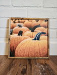 Pumpkin Sign For Fall